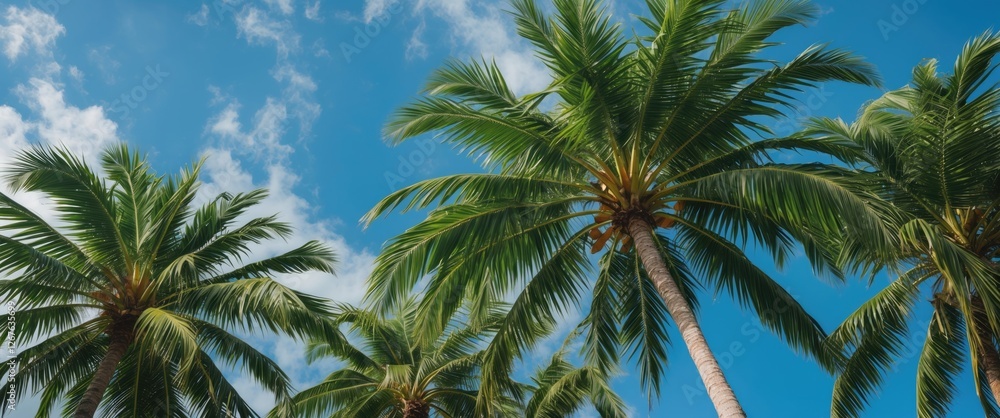 Fototapeta premium Lush Green Palm Trees Under a Clear Blue Sky with Fluffy Clouds in a Tropical Paradise Setting
