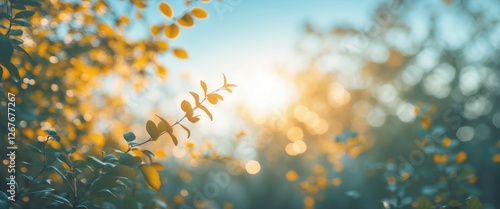 Bokeh Background of Abstract Blurred Foliage with Sunlight Creating a Warm Atmosphere and Space for Text Overlay