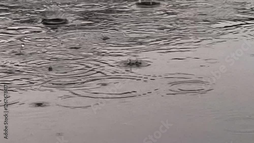 Rain in the city - raindrops fall on the asphalt