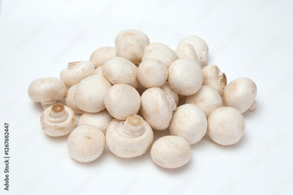 Fresh champignon mushrooms on a white background Fresh champignon mushrooms on a white background