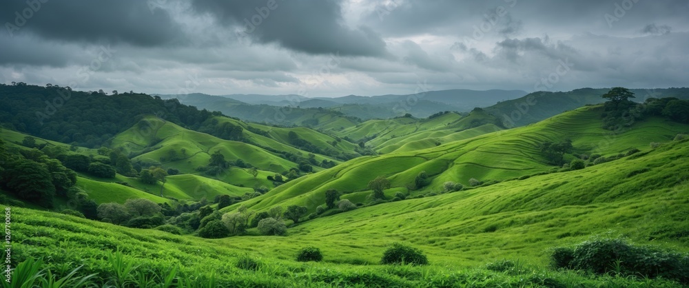 Lush green rolling hills under a cloudy sky with a vast landscape view and dramatic lighting Copy Space Lush green rolling hills under a cloudy sky with a vast landscape view and dramatic lighting Copy Space