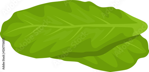 Vibrant green sorrel leaves overlapping, representing fresh produce and healthy dietary choices, embodying the essence of a nutritious lifestyle filled with natural goodness