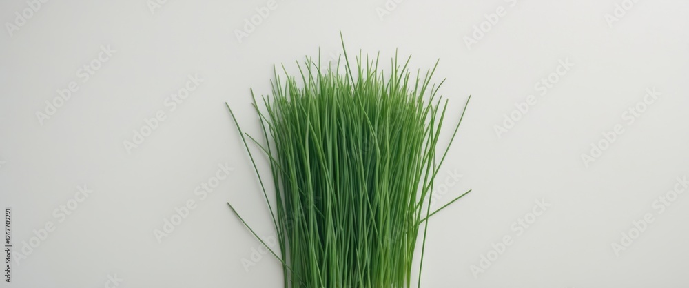 Fototapeta premium Fresh green chives on a neutral background with copy space for text placement Harvested herbs for culinary use