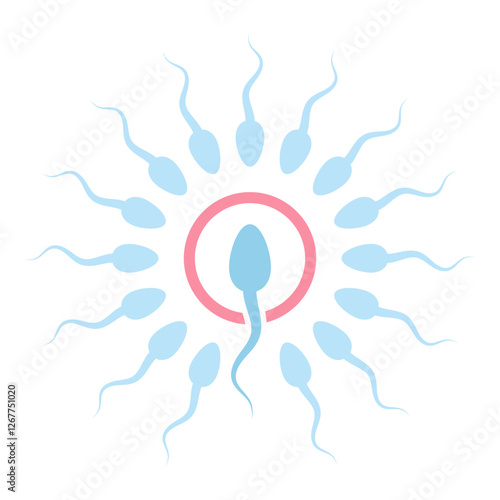 Male sperm fertilize female egg icon