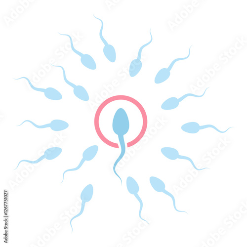 Male sperm fertilize female egg icon