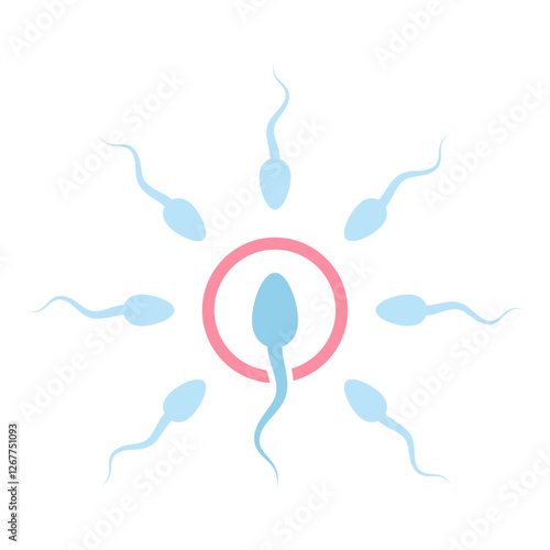 Male sperm fertilize female egg icon