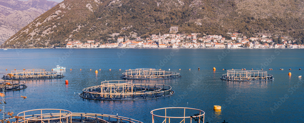 Fish farm in bay of kotor near Perast, Montenegro, showcasing modern aquaculture practices