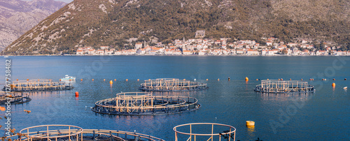 Obraz na płótnie Fish farm in bay of kotor near Perast, Montenegro, showcasing modern aquaculture practices w salonie