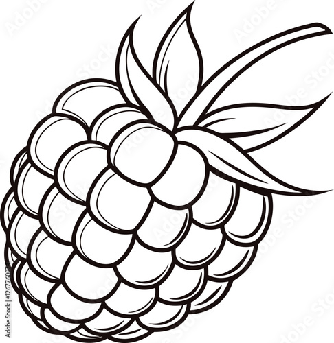 Line art drawing of a single ripe raspberry fruit
