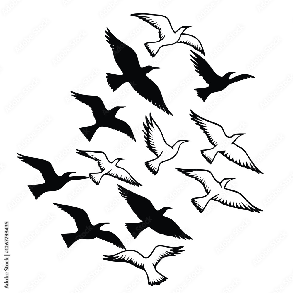 Fototapeta premium silhouette of birds