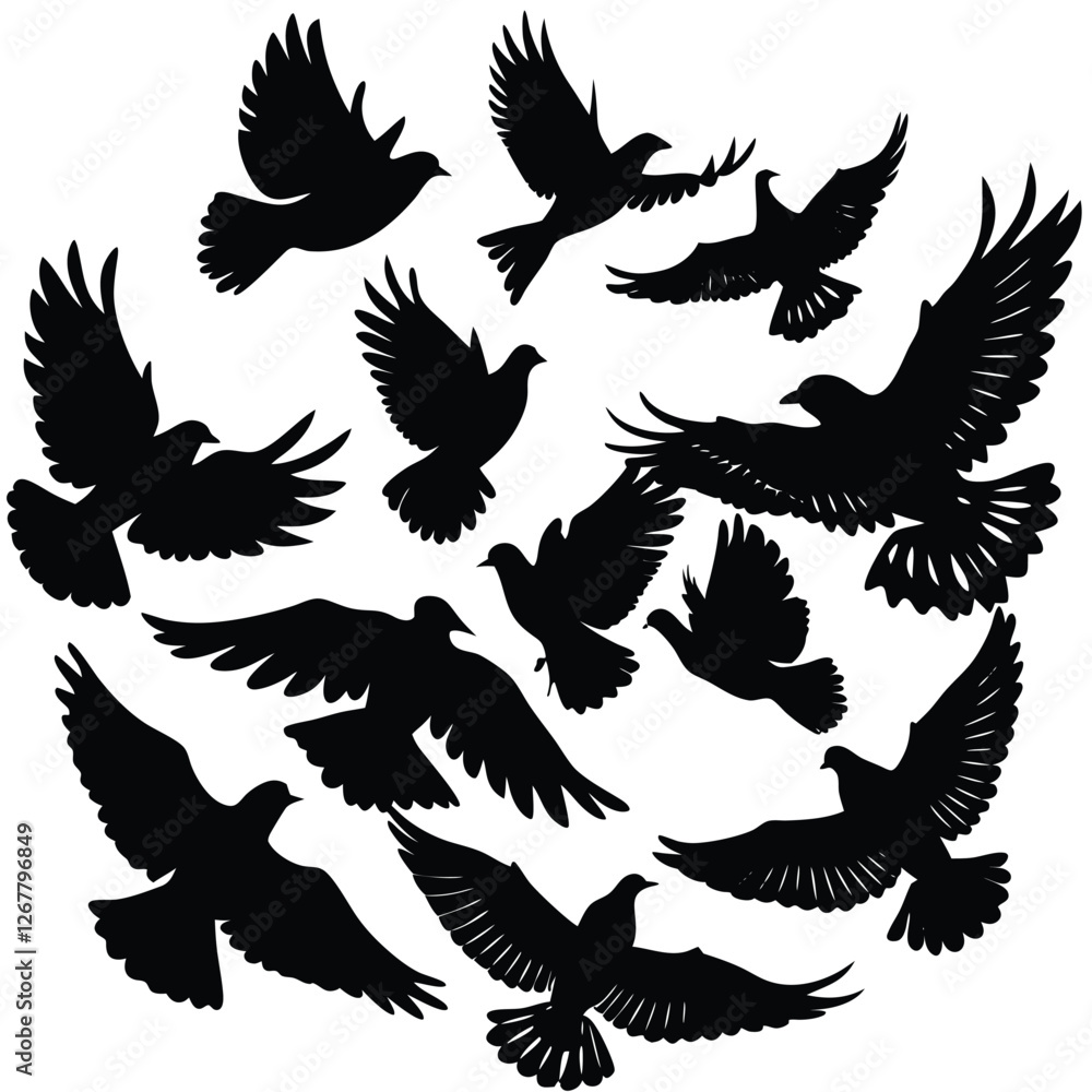 Obraz premium set of wings