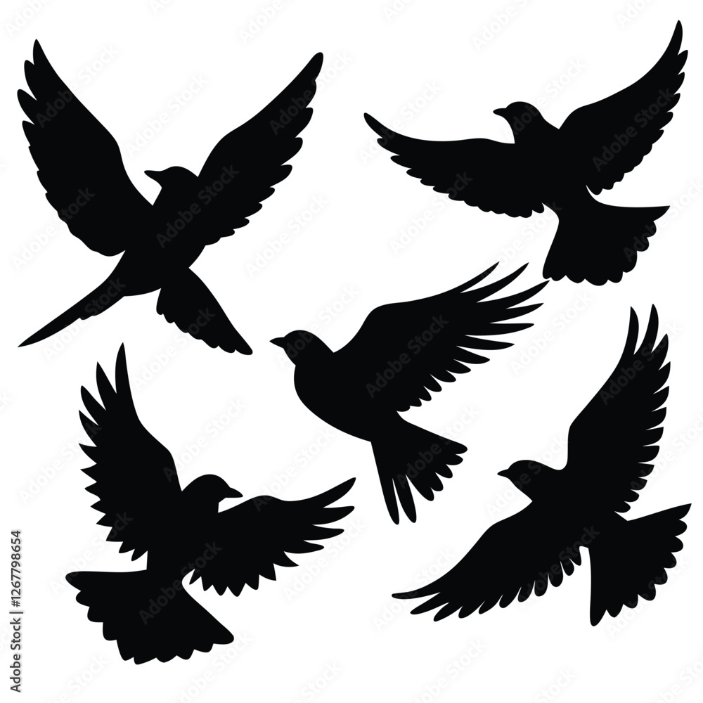 Fototapeta premium silhouettes of birds