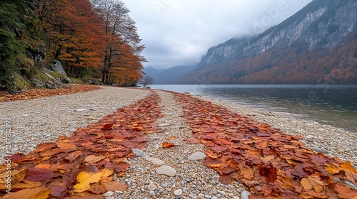 Autumn leaves pathway on lake shore photo