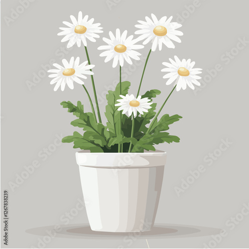 Foto Illustration vector of BARBERTON DAISY Pot