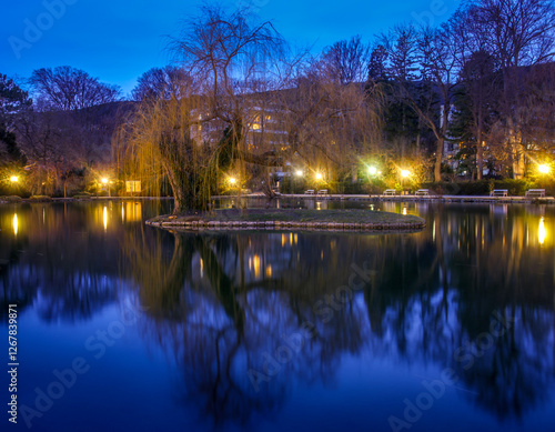 reflection in the water