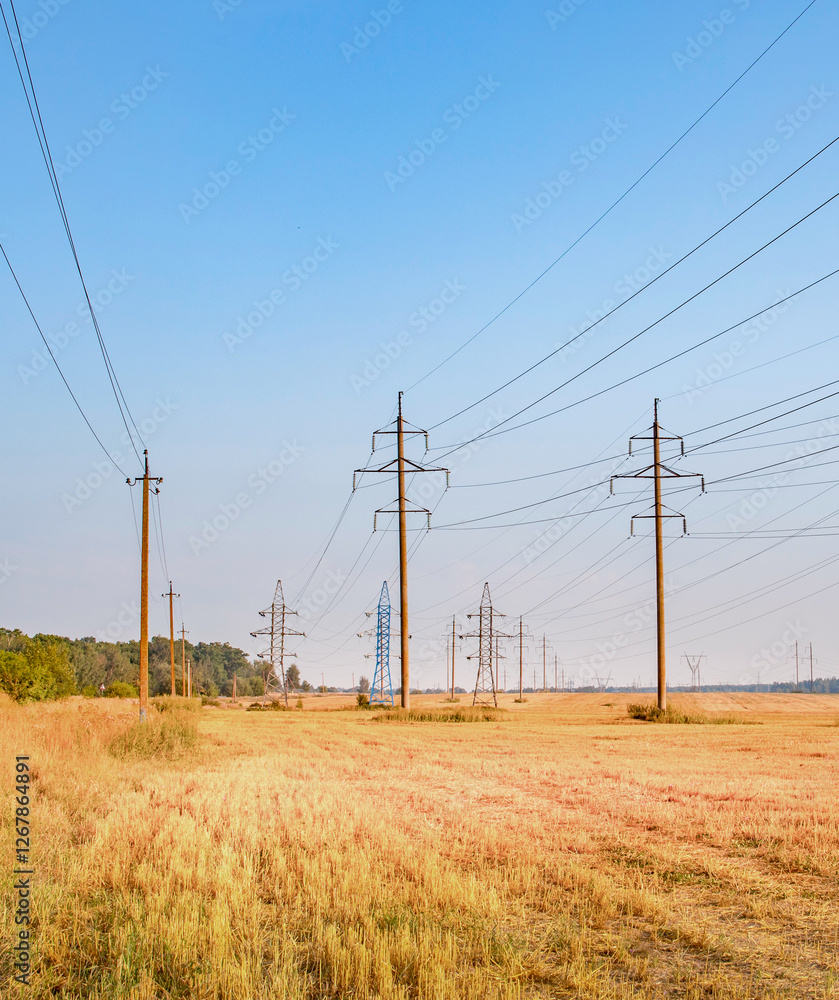 Field of tall power lines stretches across the horizon Field of tall power lines stretches across the horizon