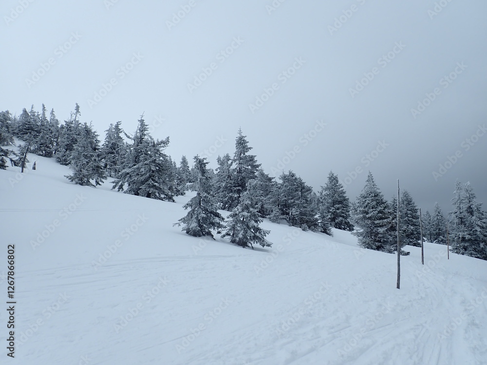 krkonose mountains in winter with snow