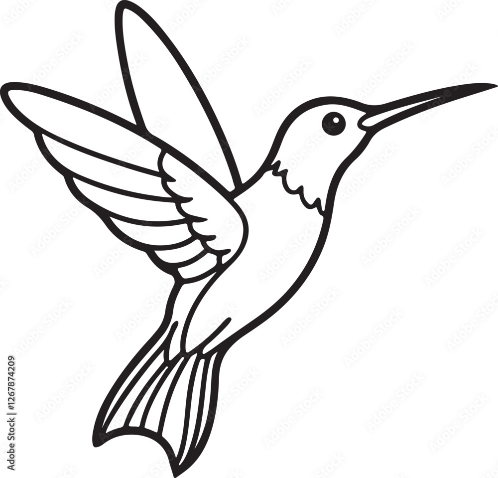 Fototapeta premium hummingbird line art, black outline, vector and illustration, line art&nbsp;and&nbsp;outline