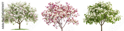 png set Beautiful Blooming Trees – Cherry Blossom, Flowering Shrub, Apple Tree, and Bonsai
