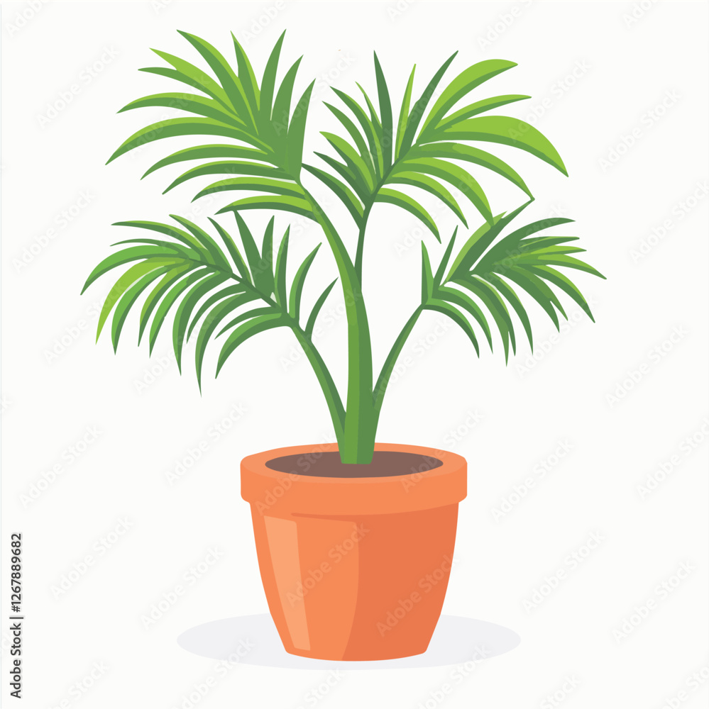 Obraz premium Illustration vector of white DWARF DATE PALM Pot