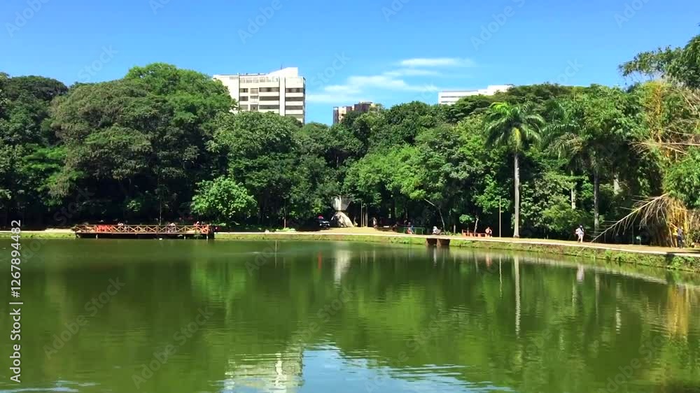 Beautiful sun at Buritis Park in Goiania city. On February 14, 2025, Goiania, Brazil. Beautiful sun at Buritis Park in Goiania city. On February 14, 2025, Goiania, Brazil.