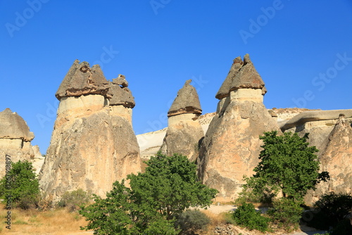 Cuadro en lienzo The magnificent Cappadocia valley with its rocky structure formed by volcanic tuffs