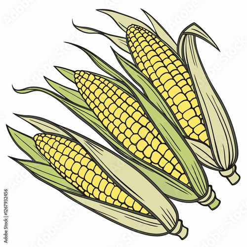 Fresh Golden Corn Cobs with Green Husks Organic Farm Produce Vector Illustration