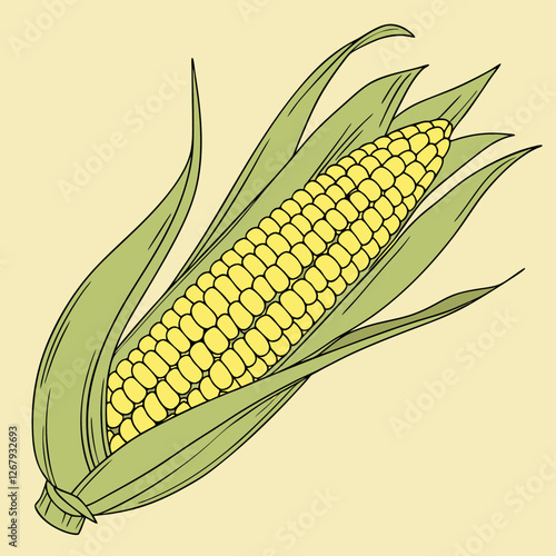 Fresh Golden Corn Cobs with Green Husks Organic Farm Produce Vector Illustration
