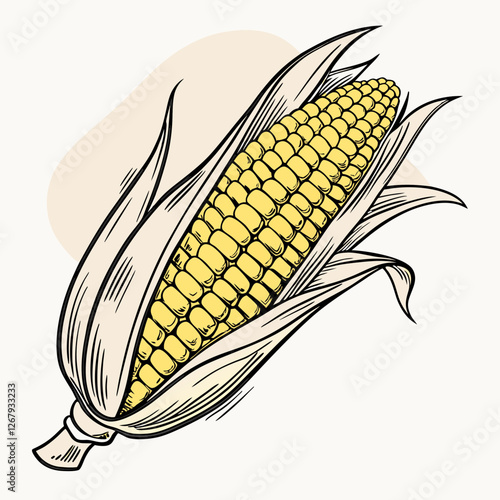 Fresh Golden Corn Cobs with Green Husks Organic Farm Produce Vector Illustration
