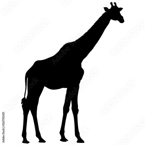 Silhouette of a Giraffe – Profile View of the Majestic African Animal with Long Neck and Legs, Symbolizing Grace, Power, and the Beauty of African Wildlife, Standing Tall in the African Savannah


