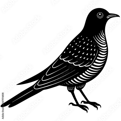 cuckoo bird black silhouette vector, Simple silhouette Design vector icon with white background. Wild Animal Vector. Bird Vector 