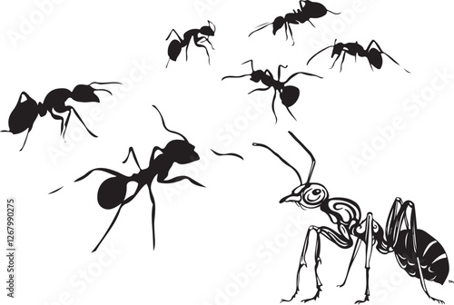 set of ants