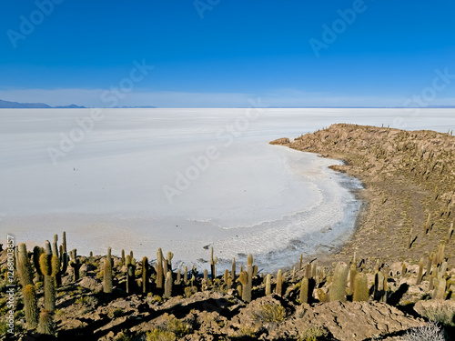 Cactus island in Salar de Uyuni, Bolivia