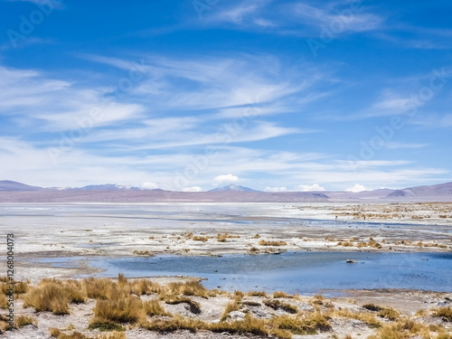 Landscape of the desert in Bolivia