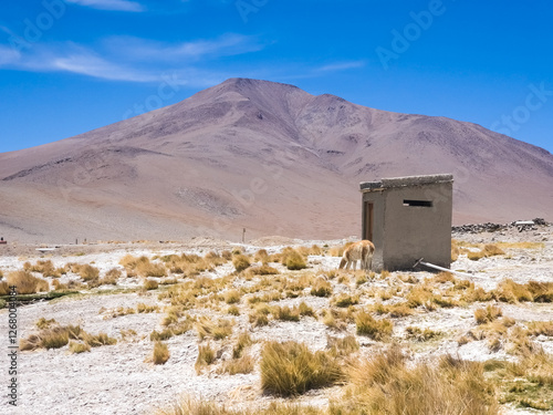 Barn in the desert, Bolivia