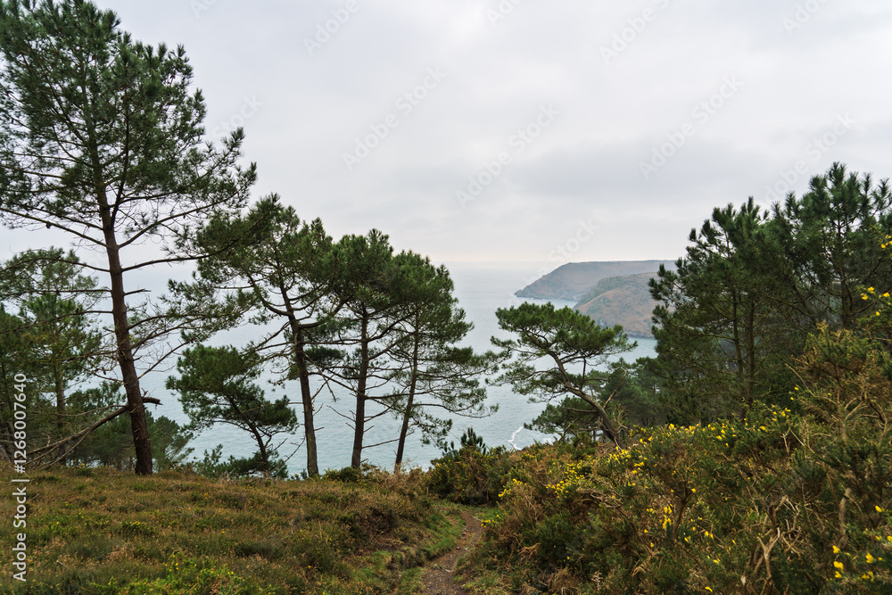 Obraz premium Sur la presqu’île de Crozon, les falaises bordées de pins maritimes et d’ajoncs dorés dominent la mer d’Iroise aux reflets changeants sous un ciel nuageux.