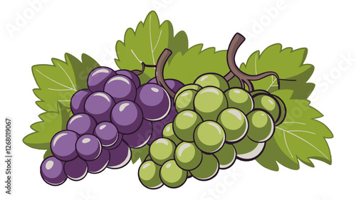 Fresh Grapes - Hand-Drawn Green and Purple Grapes with Leaves