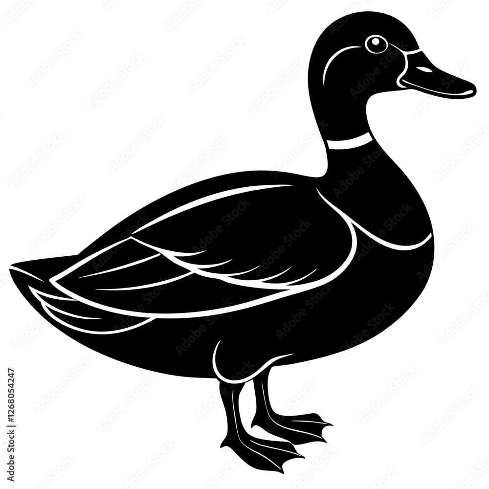 mallard duck black silhouette vector, Simple silhouette Design vector icon with white background. Wild Animal Vector. Bird Vector mallard duck black silhouette vector, Simple silhouette Design vector icon with white background. Wild Animal Vector. Bird Vector