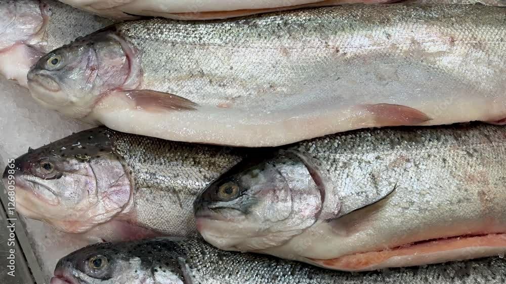 Raw steaks of rainbow trout chilled on shallow ice at the seafood market. An open shelf at the fish market. Close-up Raw steaks of rainbow trout chilled on shallow ice at the seafood market. An open shelf at the fish market. Close-up