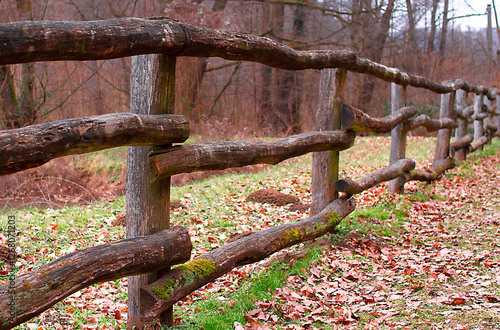 Old wooden fence in the forest