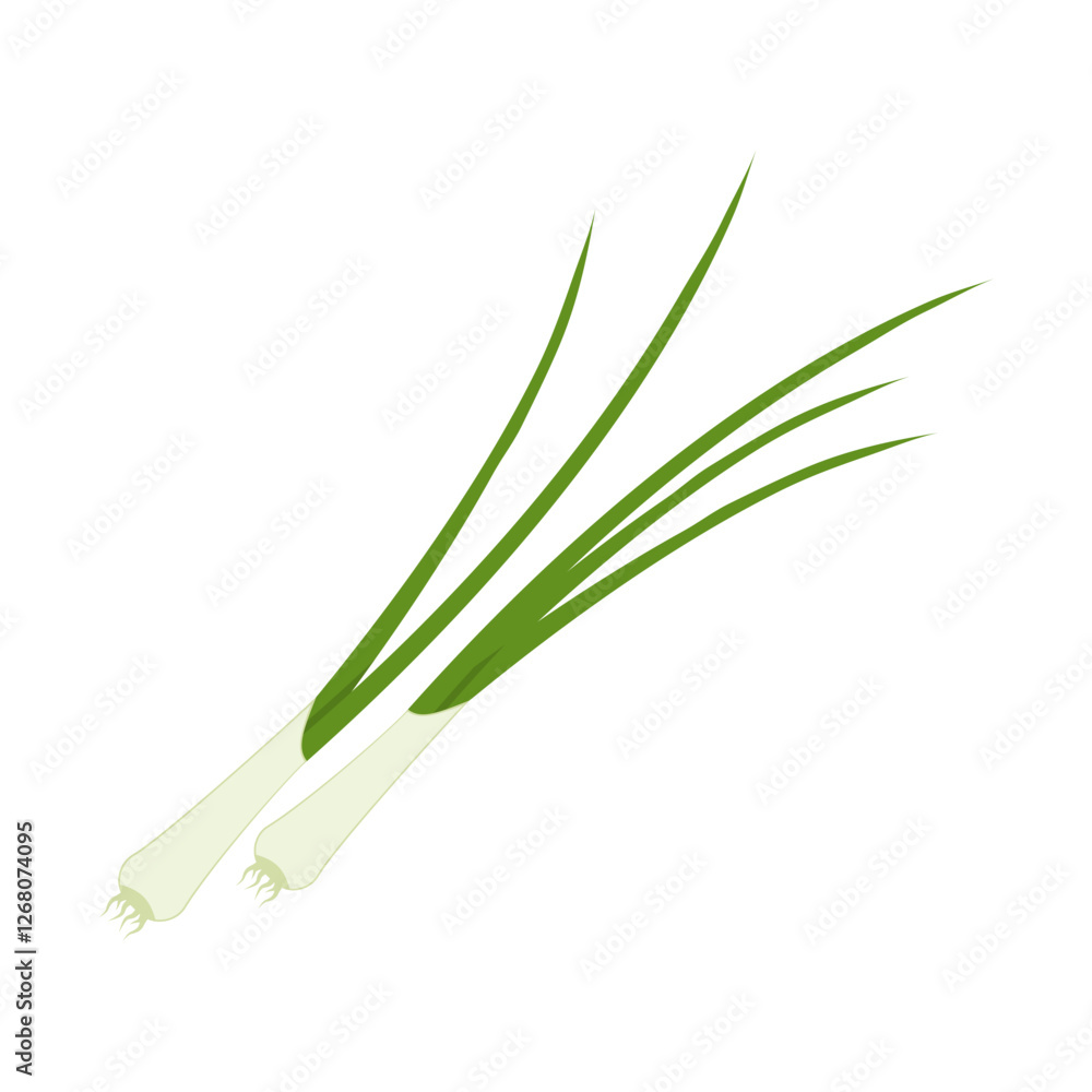 Green spring onion. Vector illustration cartoon vegetable icon isolated on white background.