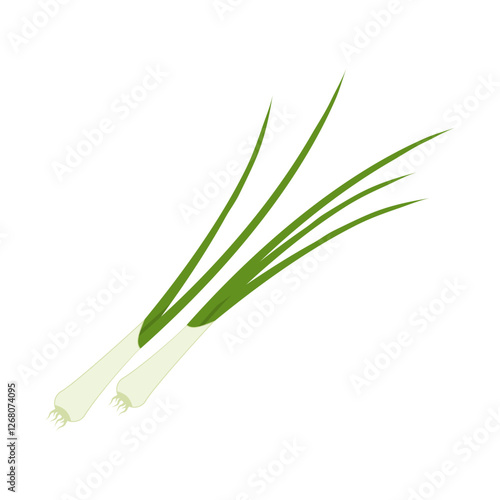 Obraz na płótnie Green spring onion. Vector illustration cartoon vegetable icon isolated on white background. w salonie