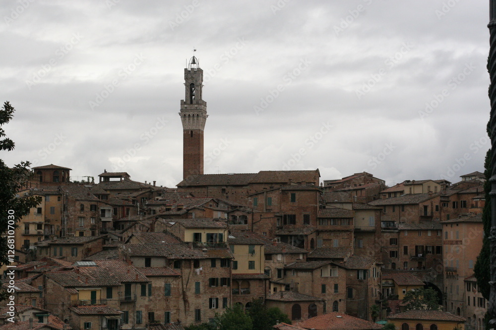 Obraz premium view of siena italy