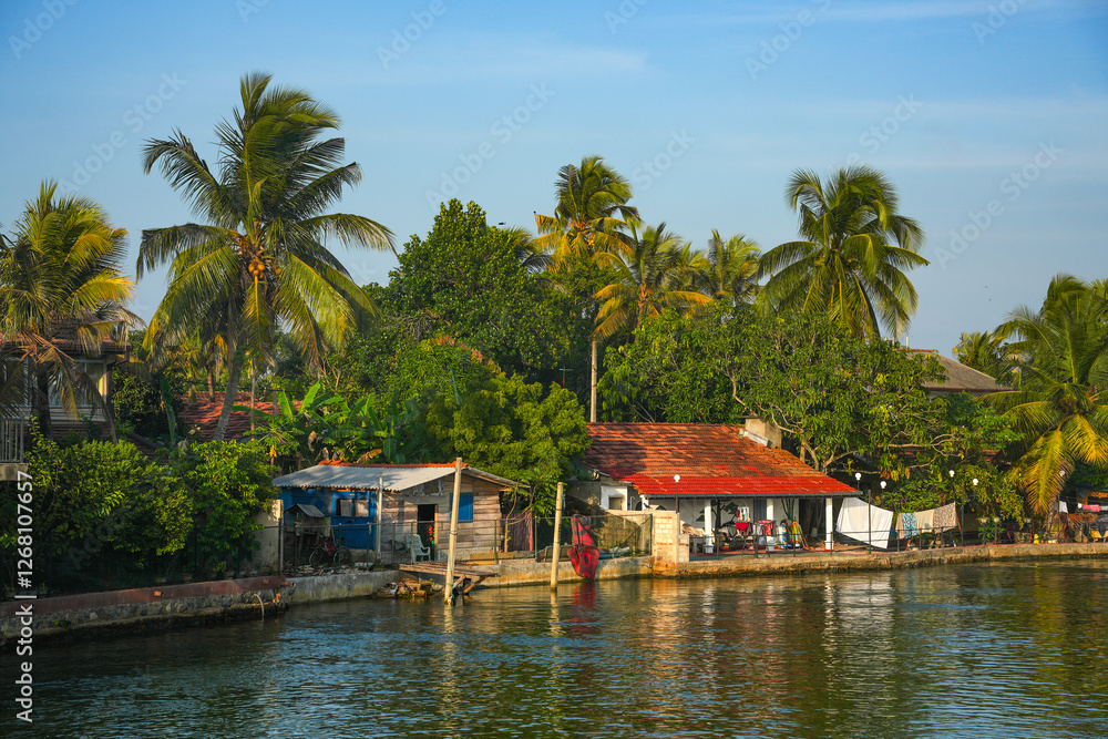 Colorful fishing boats on Negombo Lagoon, Colombo, Sri Lanka, Asia
Colorful fishing boats on Negombo Lagoon, Colombo, Sri Lanka, Asia