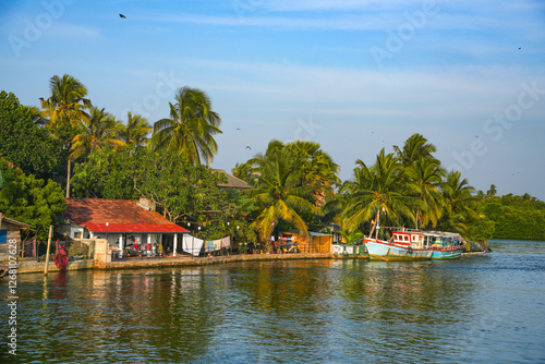 Canvastavla Colorful fishing boats on Negombo Lagoon, Colombo, Sri Lanka, Asia