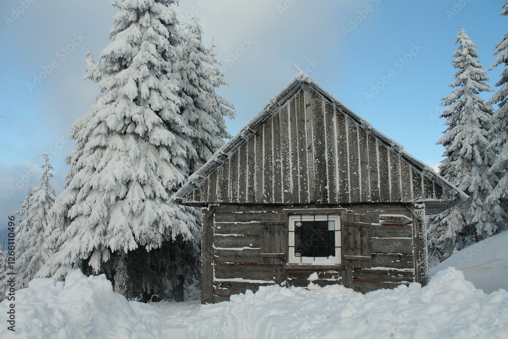 winter in carpathians mountains, sunset landscape winter in carpathians mountains, sunset landscape