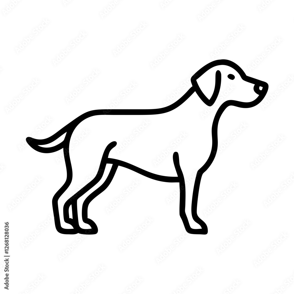 Dog Dog