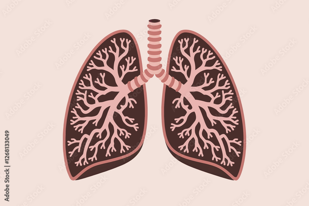 Illustrated Anatomical Diagram of Human Lungs with Bronchial Tree on a Light Background Illustrated Anatomical Diagram of Human Lungs with Bronchial Tree on a Light Background
