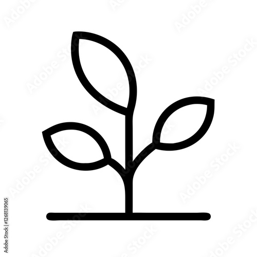 Plant / Potted Plant