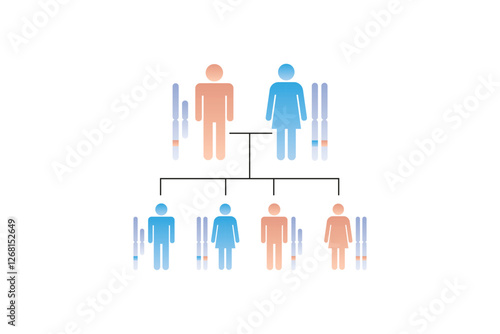X-Linked Dominant Inheritance Science Design. Vector Illustration.
